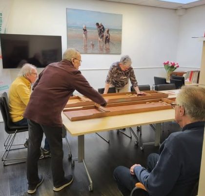 sjoelen website